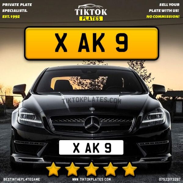 X AK 9 - Image 2